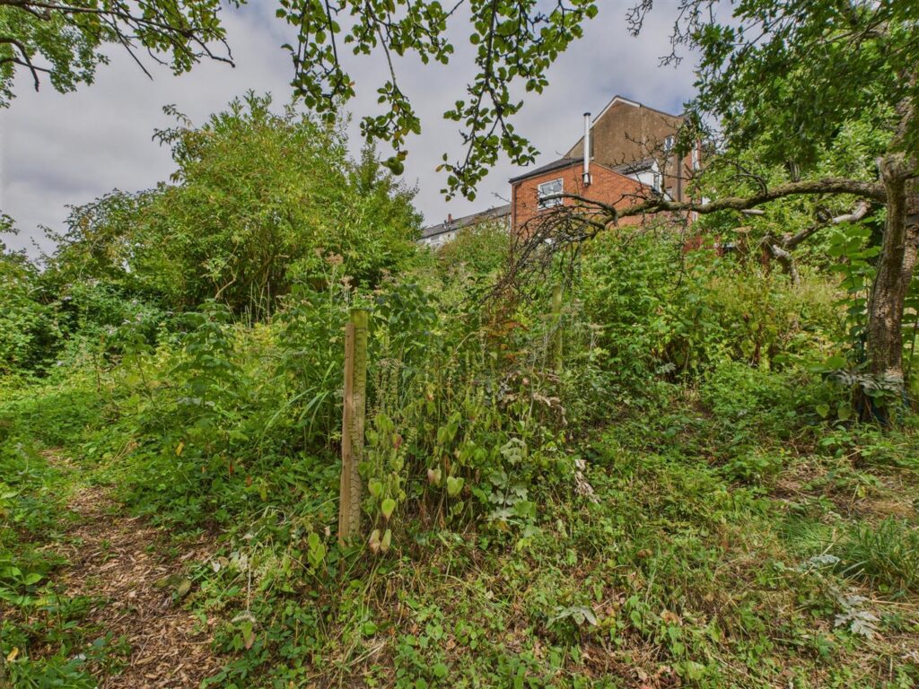 image 38