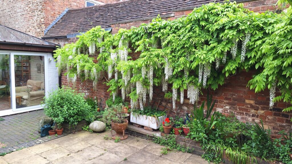 image 28