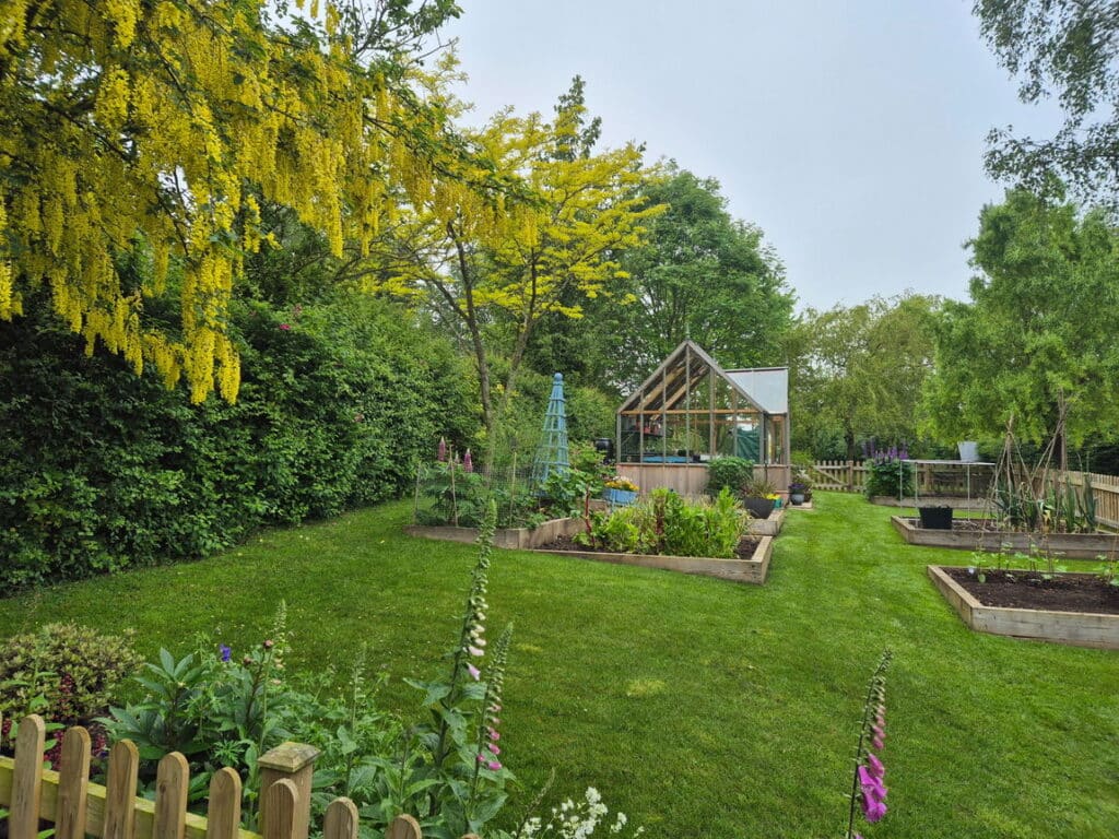 image 29