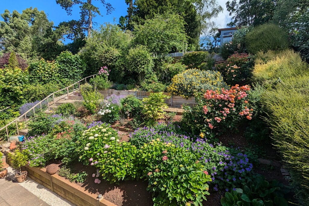 image 23