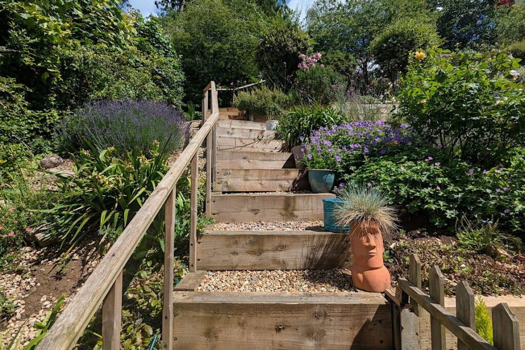 image 25