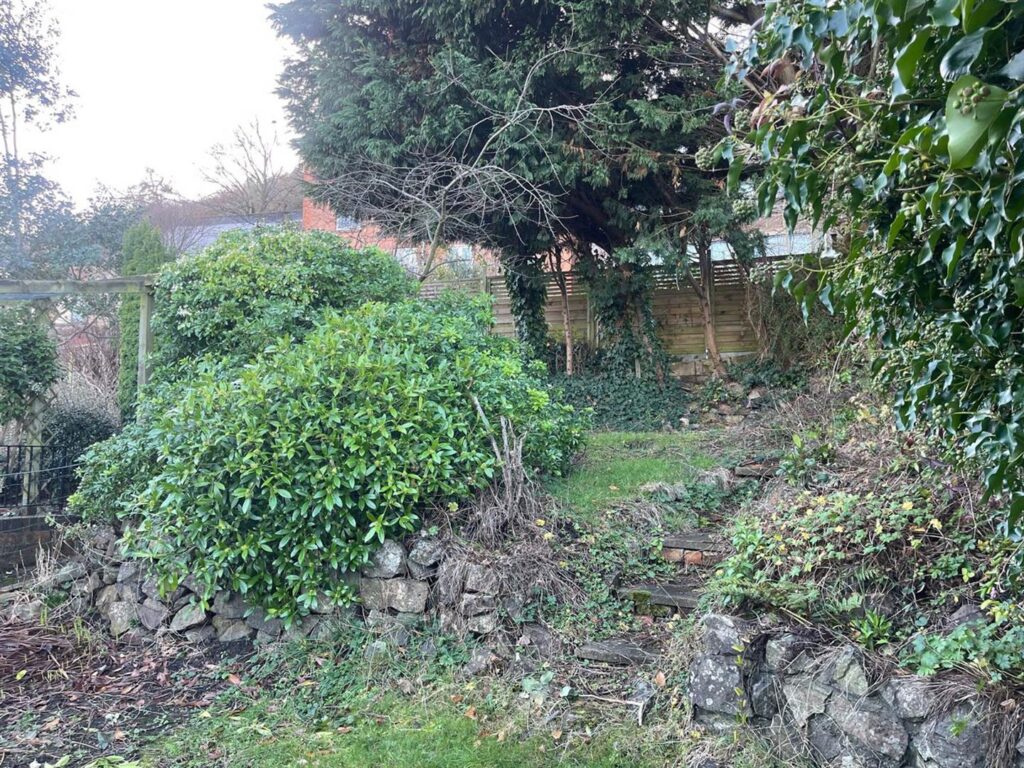 image 14