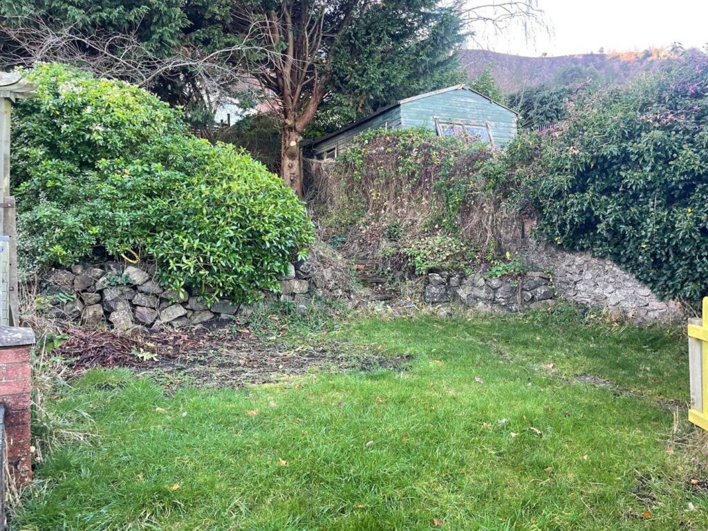 image 16