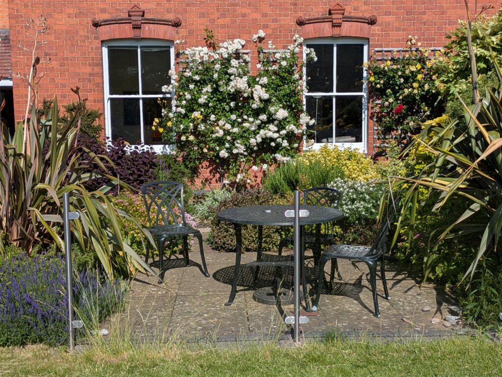 image 15