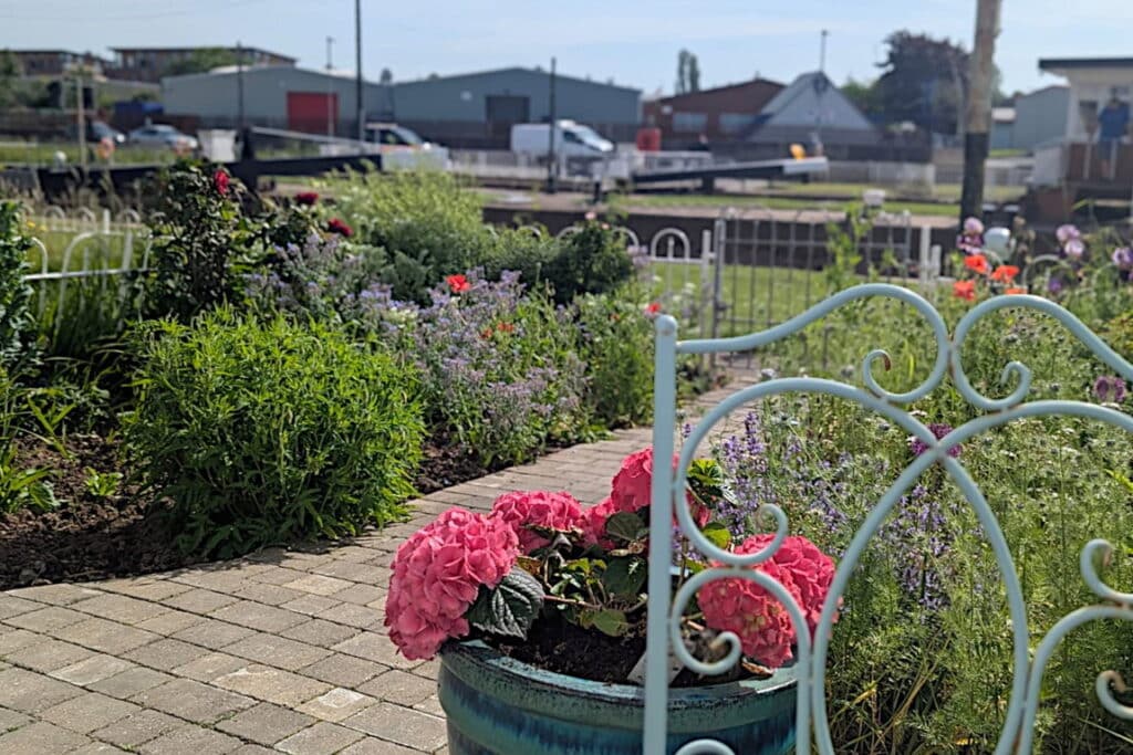 image 15