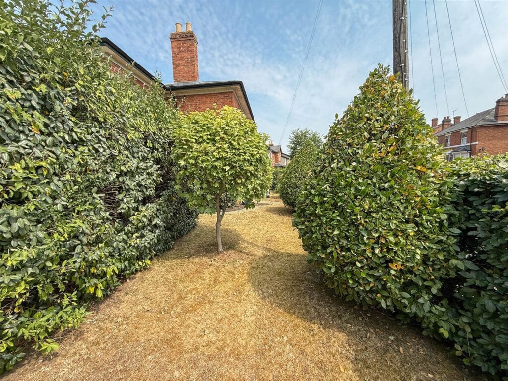 image 17