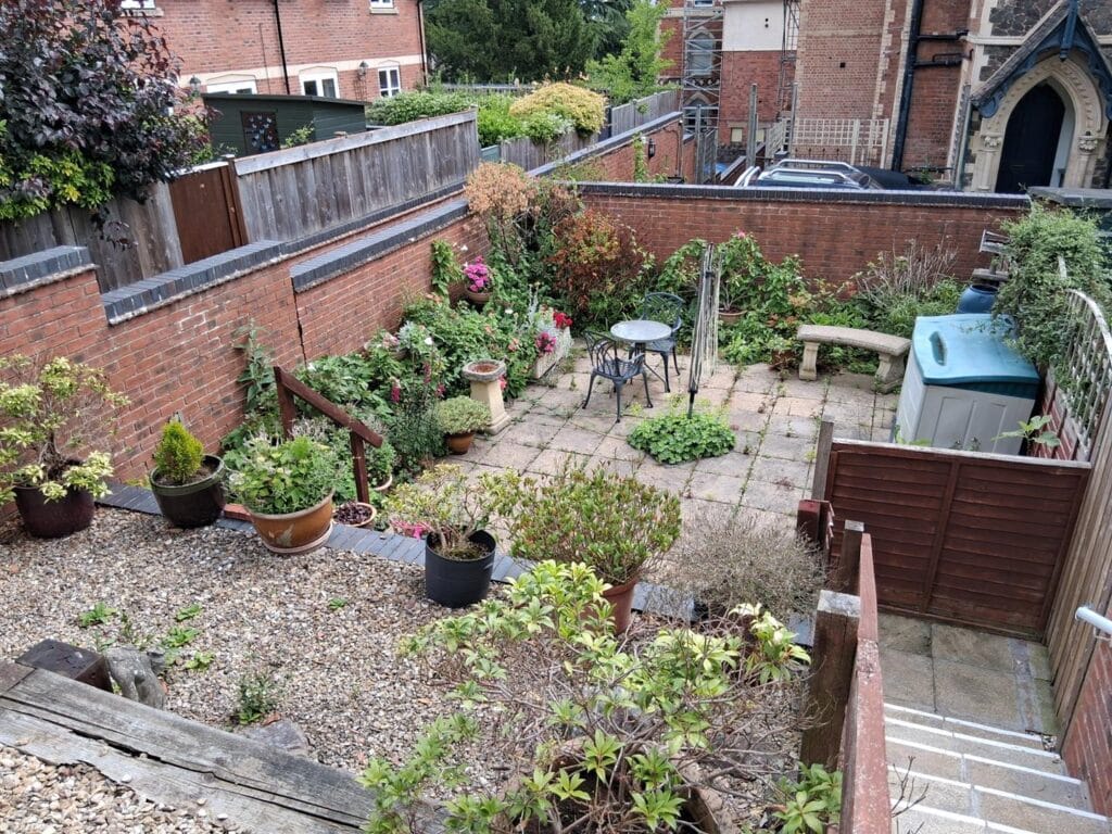 image 15