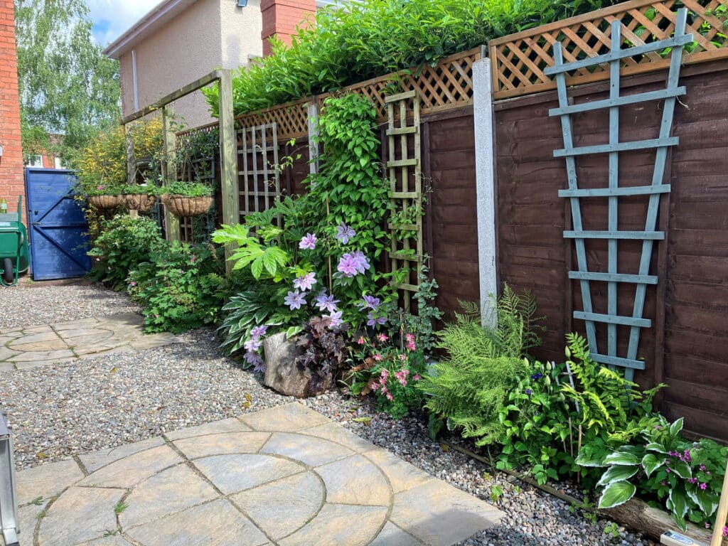 image 27