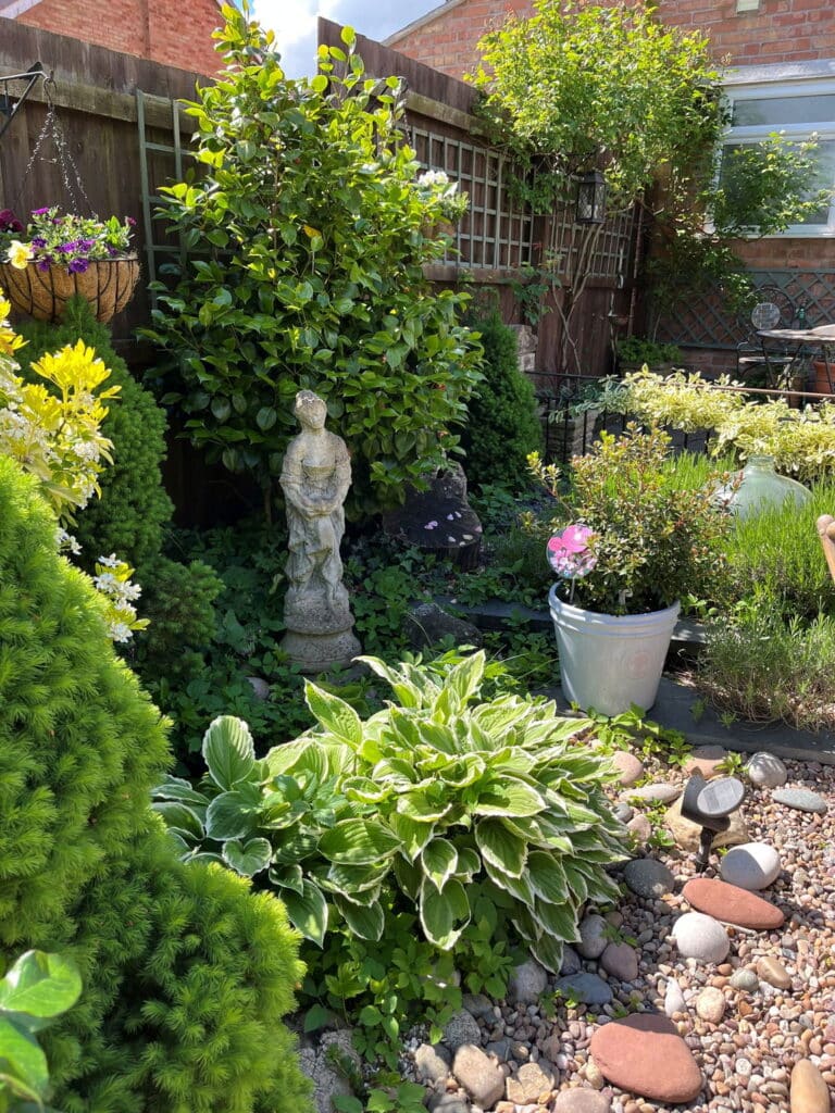 image 29