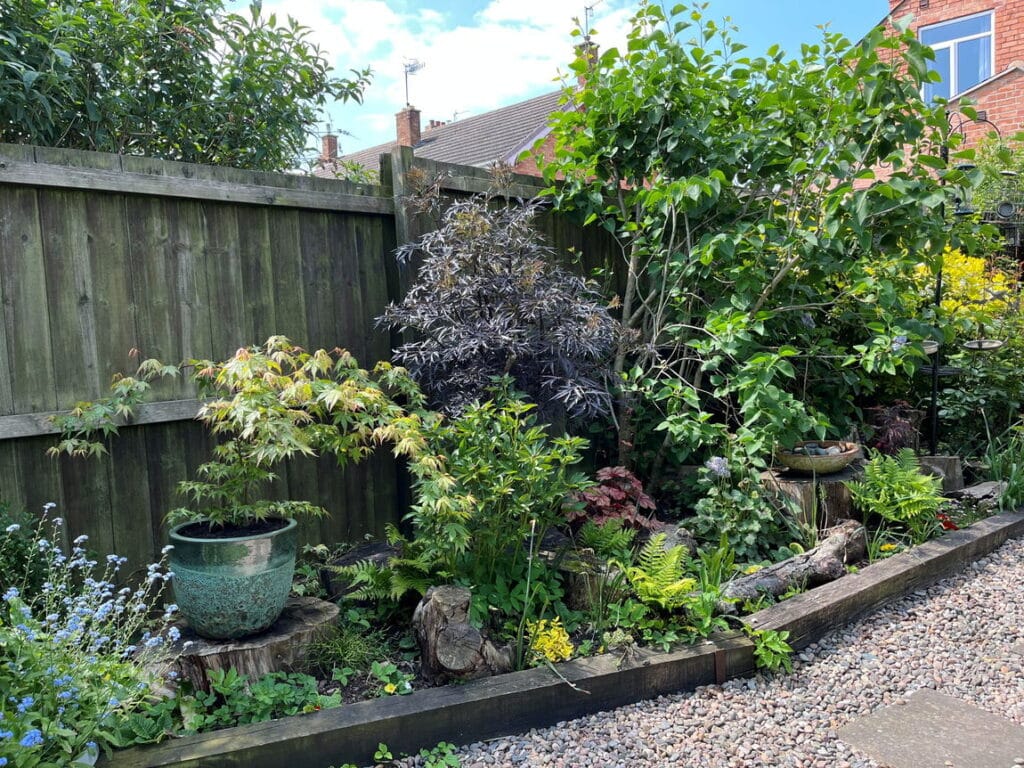image 30
