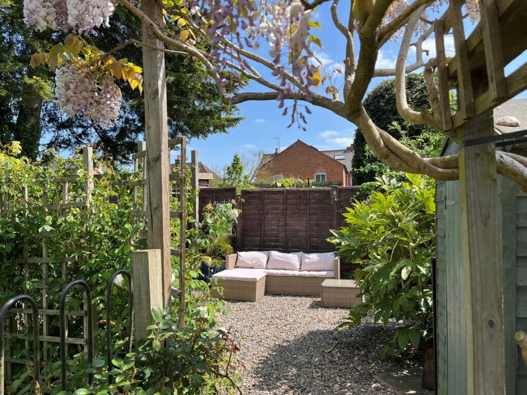 image 31