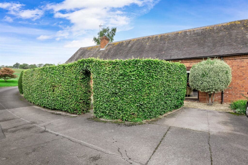 image 28