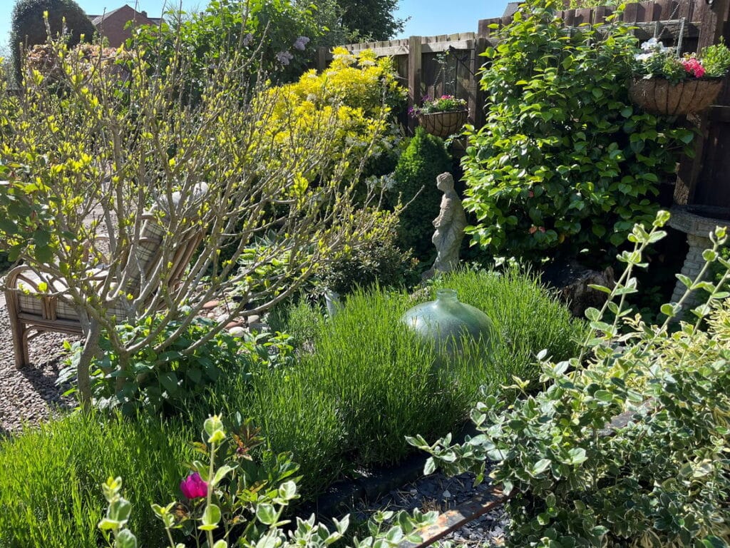 image 32