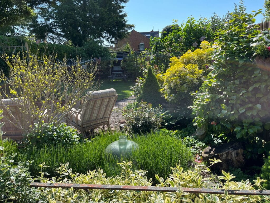 image 35