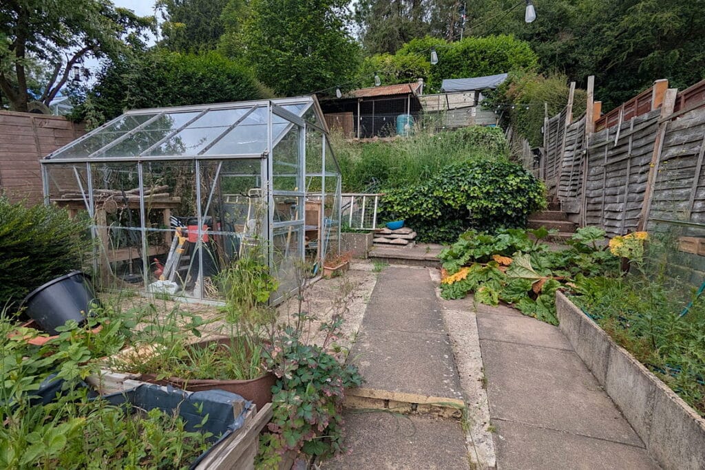 image 21