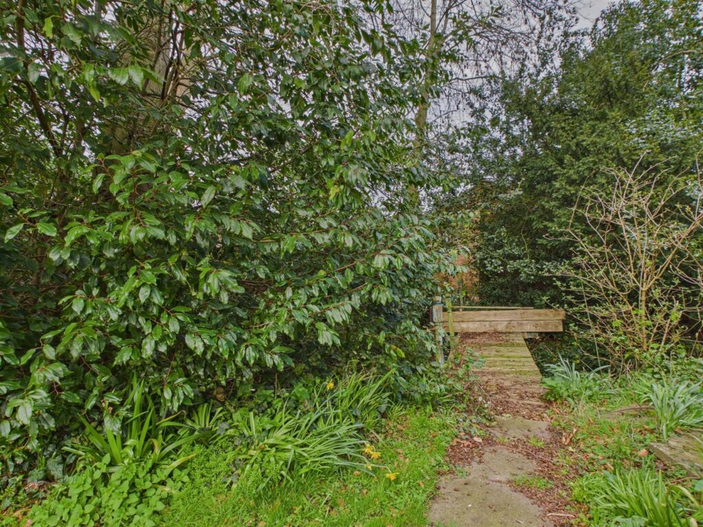 image 23