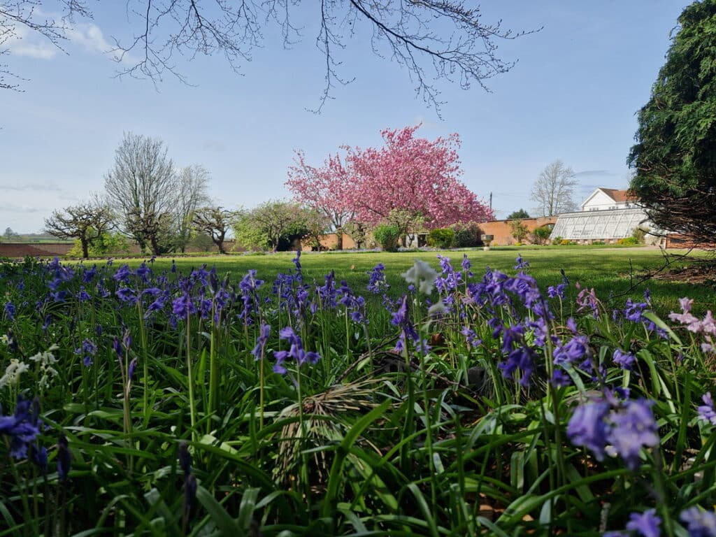 image 23