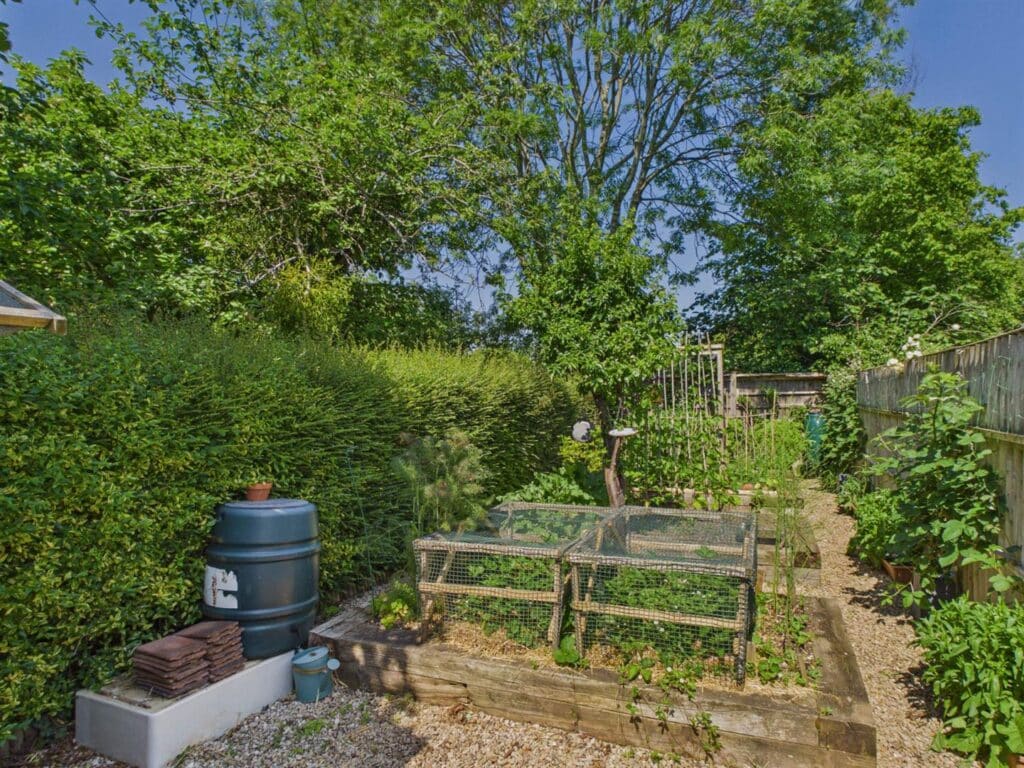image 45